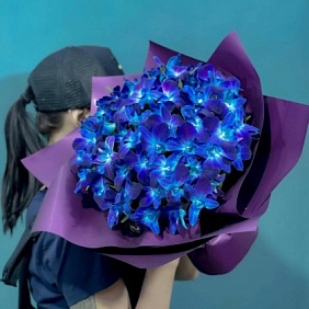 Орхидея синяя 51