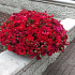 Букет цветов Прекрасная №162 - Фото 6