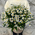 Букет цветов Капризная штучка - Фото 1