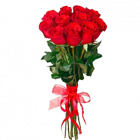 11 красных роз Премиум Эквадор 80 см.