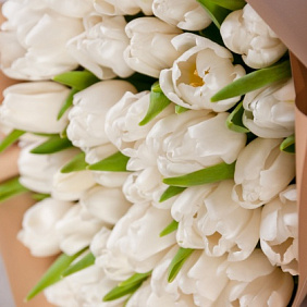 35 белых тюльпанов в красной шляпной коробке №106