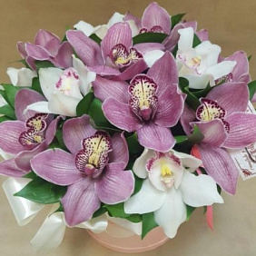 Цветы в коробке 13 прекрасных орхидей  «Микс счастья»