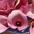 Букет из розовых калл - Фото 6