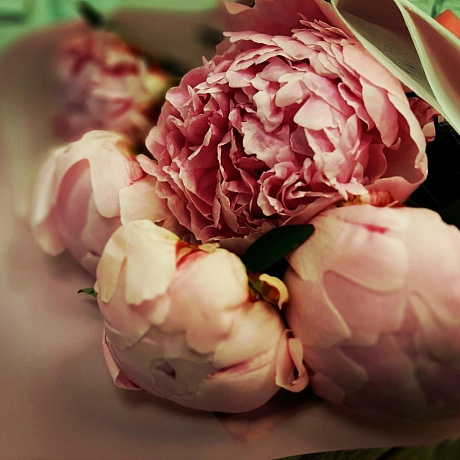 Букет из 5 нежно розовых пионов - Фото 4