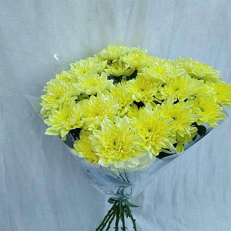 Хризантемы желтые - Фото 2