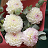 Букет цветов Дали - Фото 2