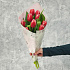 Букет из тюльпанов в упаковке - Фото 5