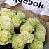 Шикарная Эквадорская Роза №160 - Фото 5