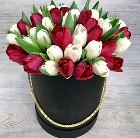 35 красно-белых тюльпанов в черной шляпной коробке №171