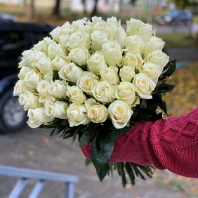 51 белая роза 40 см (Россия)