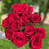 Эквадорская роза 15 шт №162 - Фото 2