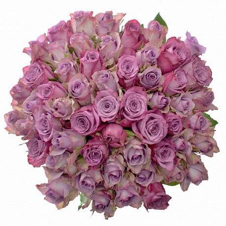 Букет из 31 розы Дольчетто - Фото 1