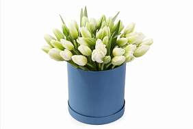 59 белых тюльпанов в большой голубой шляпной коробке №512
