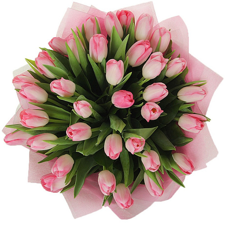 35 розовых тюльпанов в черной шляпной коробке №343 - Фото 1