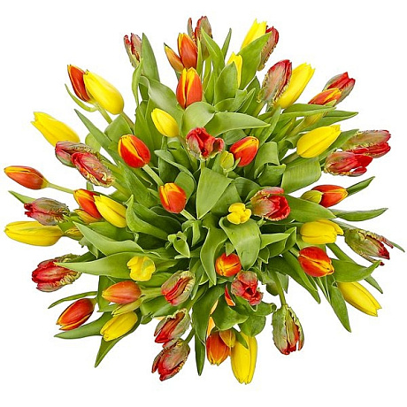 Букет тюльпанов Жизель - Фото 1