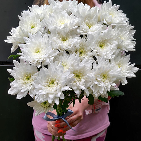 Букет из хризантем Полярная звёздочка - Фото 1