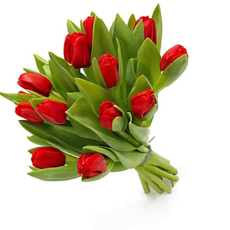 Букет тюльпанов Ноктюрн - Фото 1