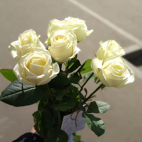 Белые розы 7 шт - Фото 1