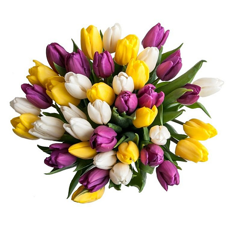 35 тюльпанов микс в белой шляпной коробке №541 - Фото 1